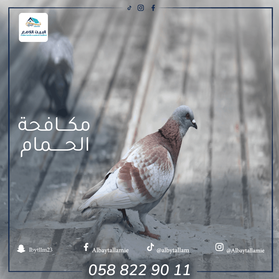 أفضل شركة تركيب طارد حمام في العين