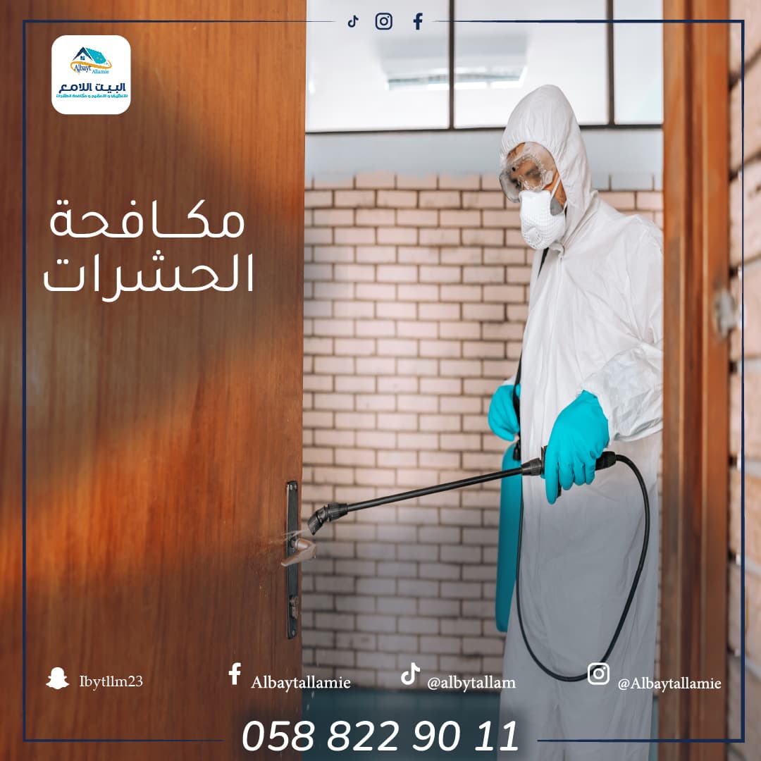 لماذا تحتاج إلى شركة مكافحة حشرات؟