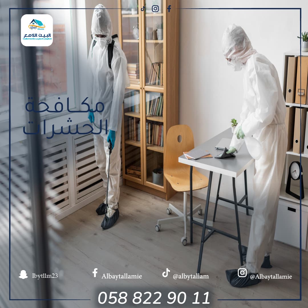 كيف تختار أفضل شركة مكافحة حشرات؟
