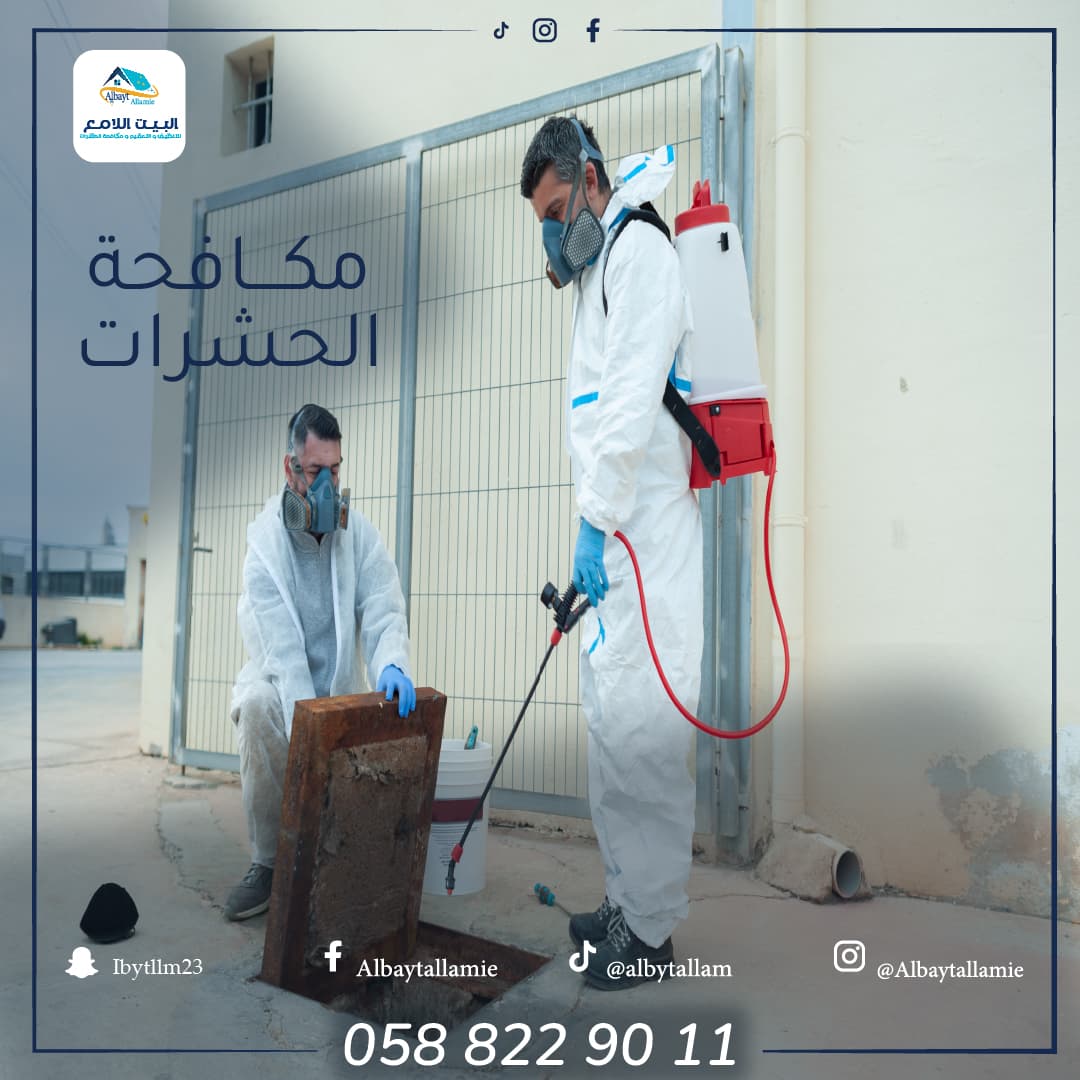 أفضل شركة مكافحة حشرات في أبوظبي
