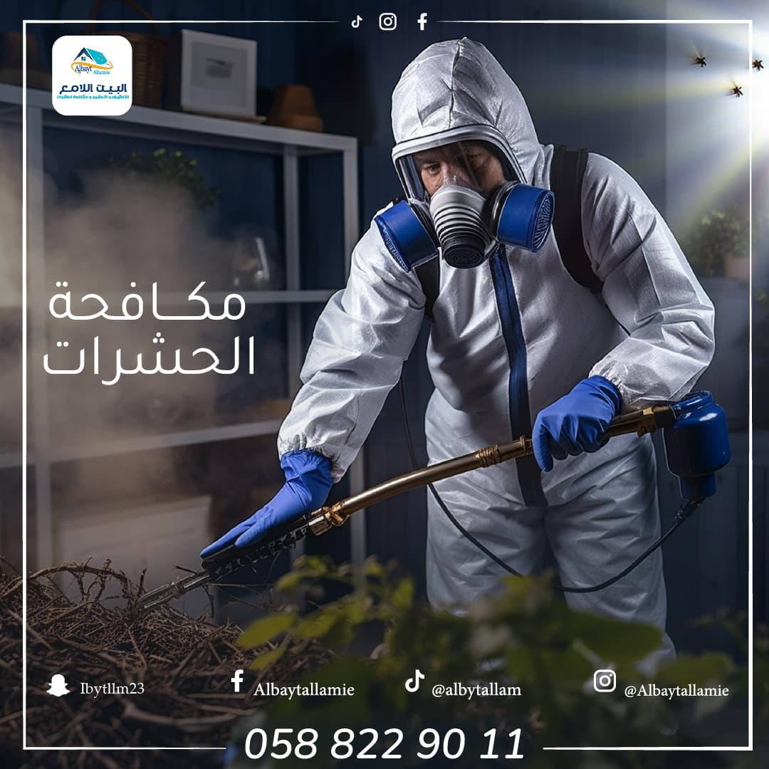 أفضل شركة مكافحة حشرات في العين