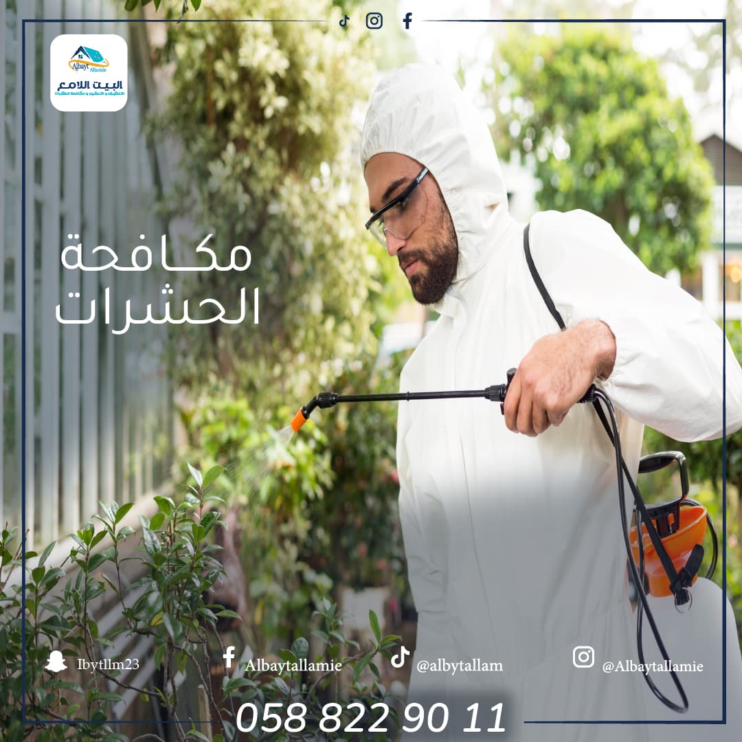 خدمات شركة مكافحة حشرات في العين