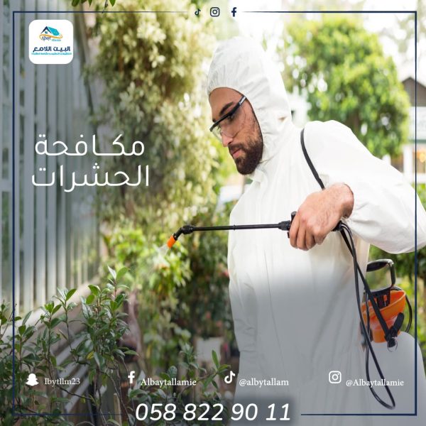 شركة مكافحه حشرات