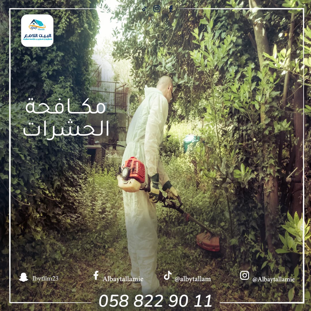 أهمية مكافحة الحشرات