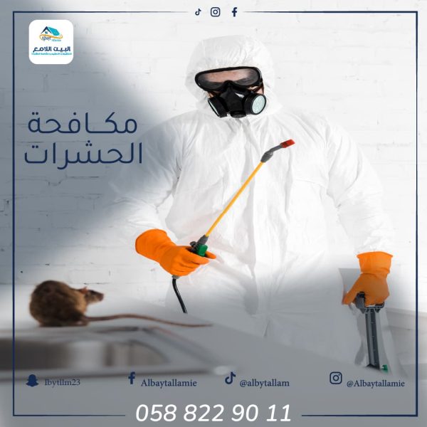 أفضل شركة مكافحة الحشرات