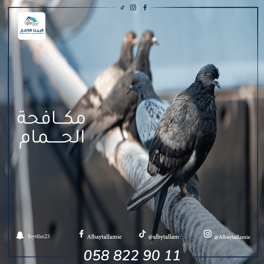 تكلفة تركيب سلك حمام في أبو ظبي