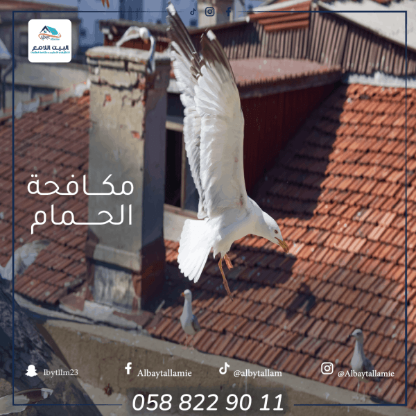 تركيب سلك حمام