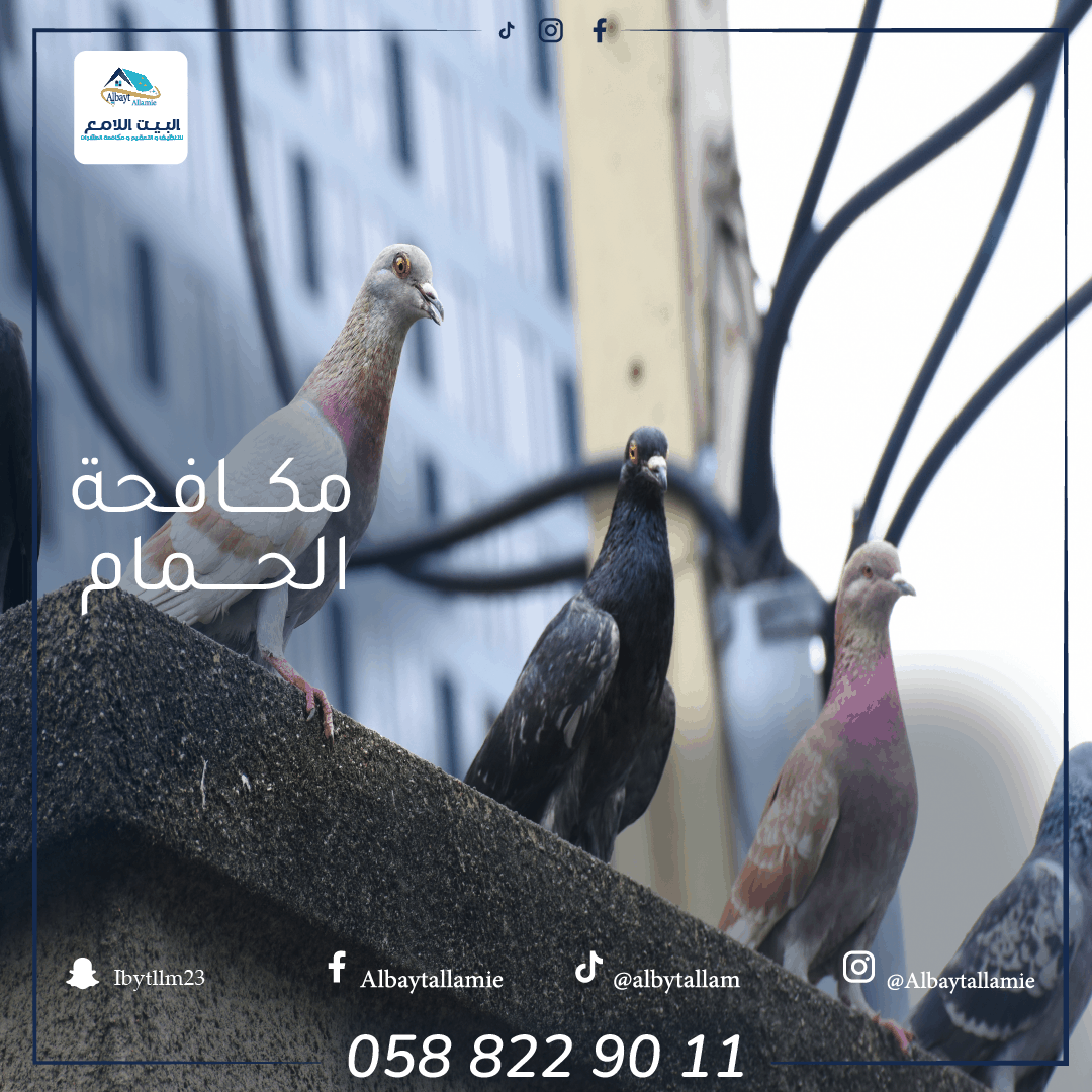 أرخص شركة تركيب طارد حمام في العين