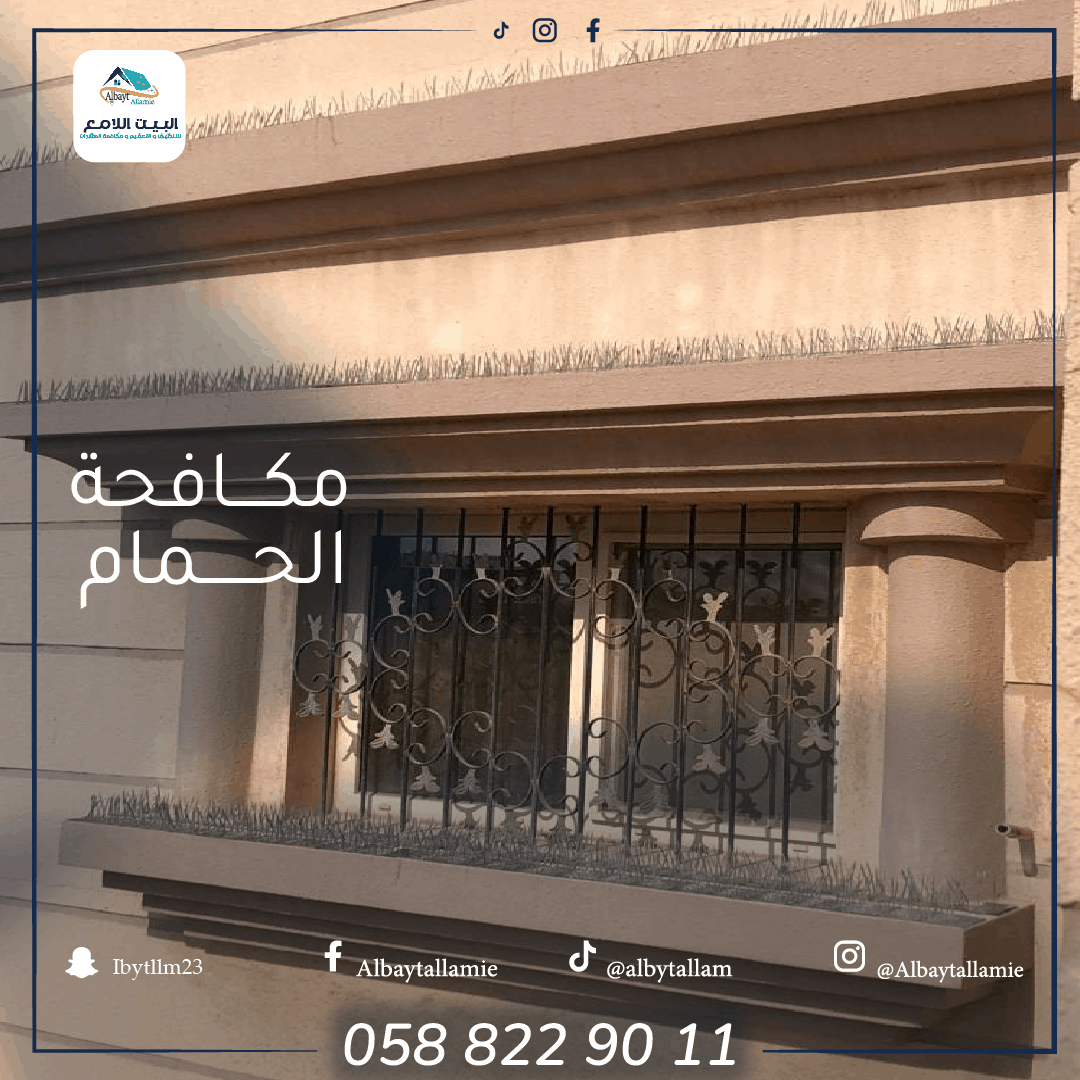 طارد حمام في أبو ظبي