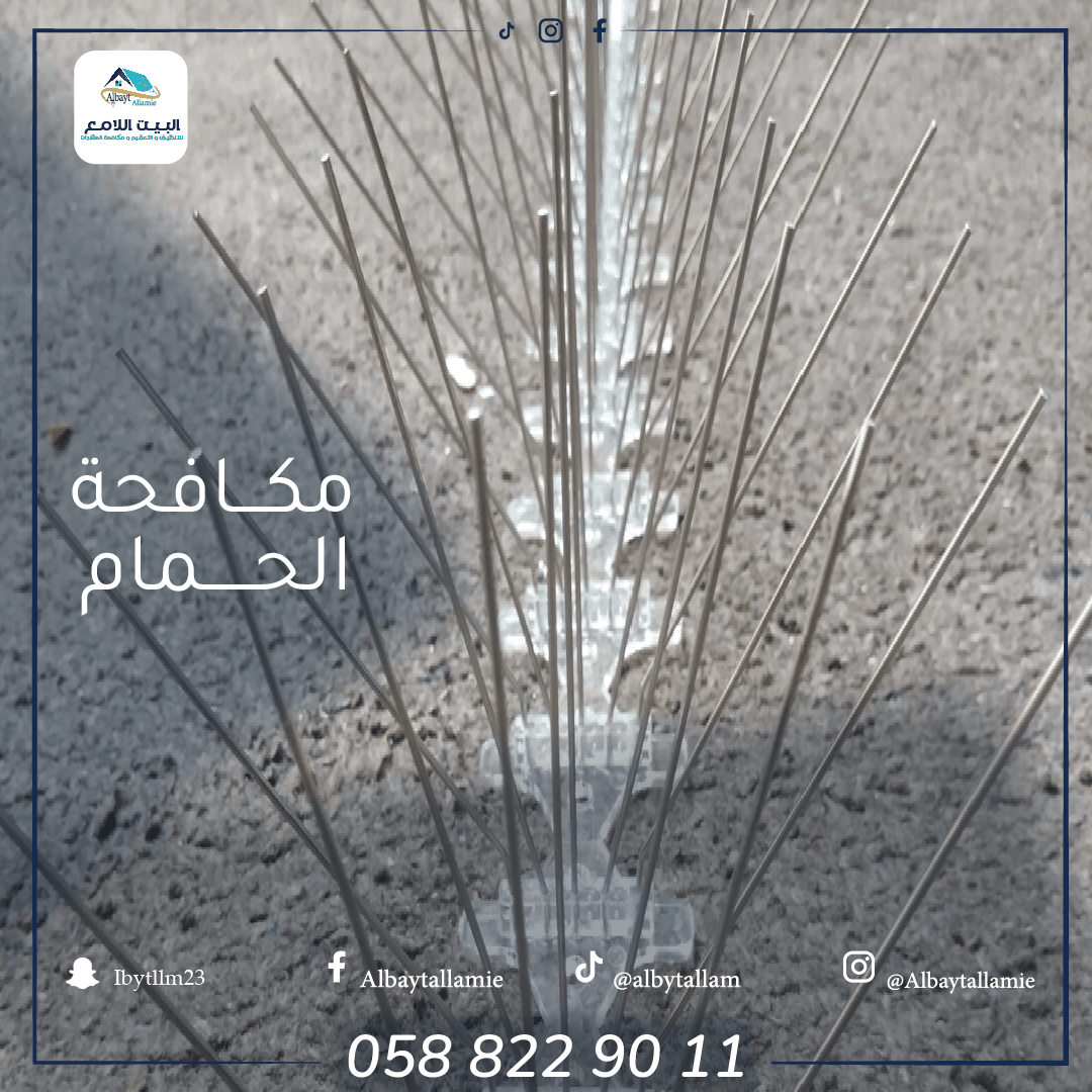 أفضل شركة تركيب طارد حمام في أبو ظبي