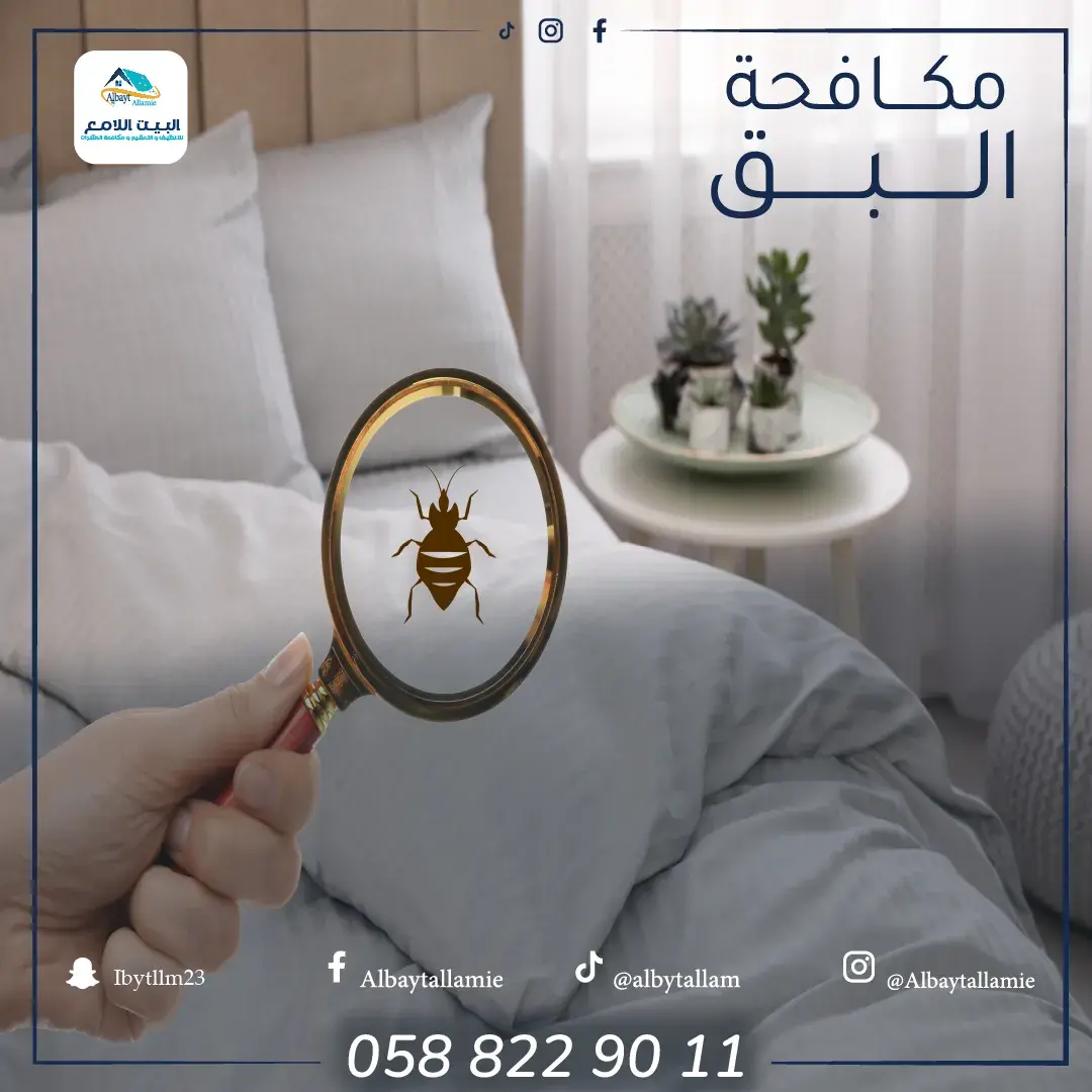 شركة البيت اللامع توفر خدمات مكافحة البق باستخدام تقنيات فعّالة ومواد آمنة، لضمان القضاء الكامل على هذه الحشرات وحماية بيئتك من التسبب في مشاكل صحية وراحة.