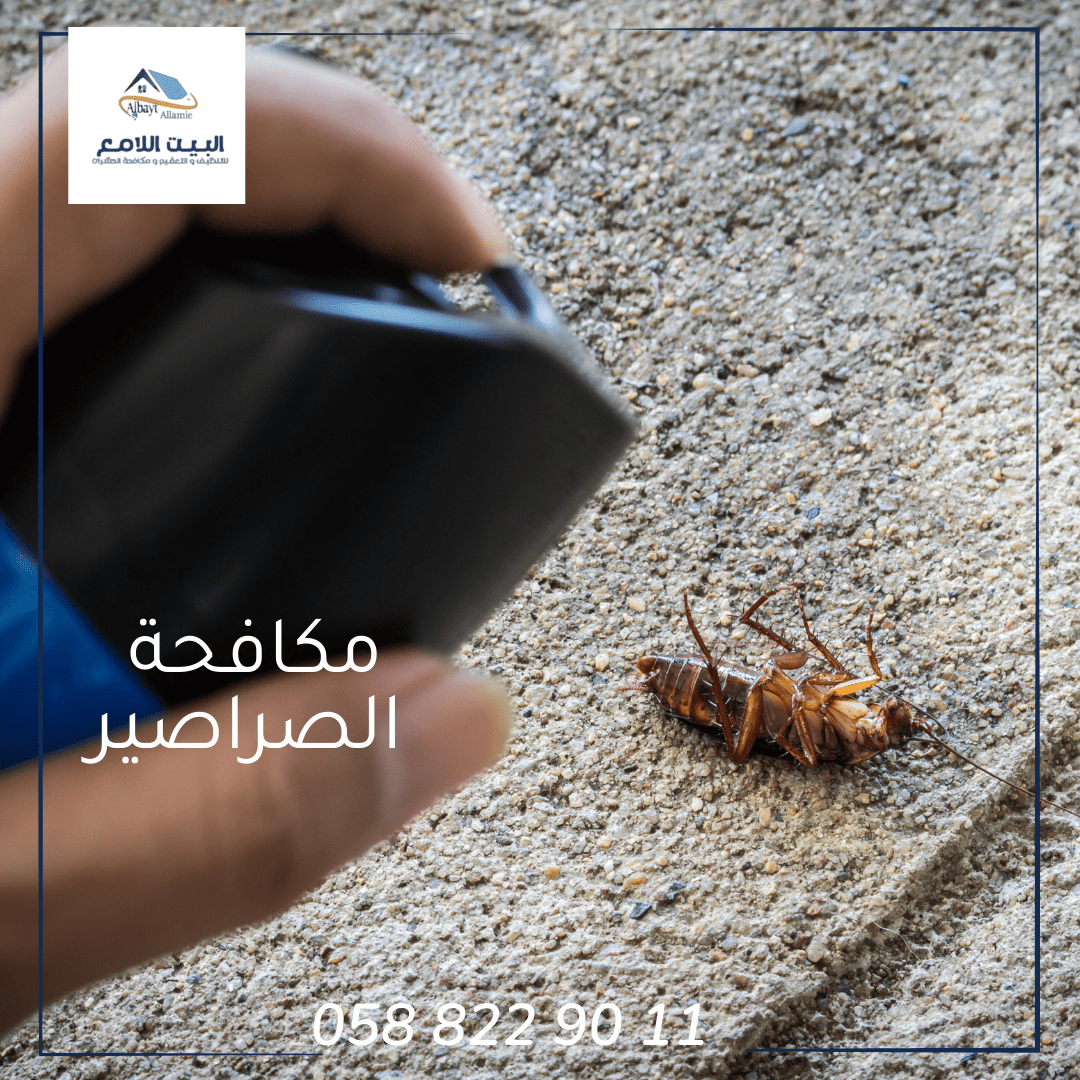 أضرار وجود الصراصير في المنزل