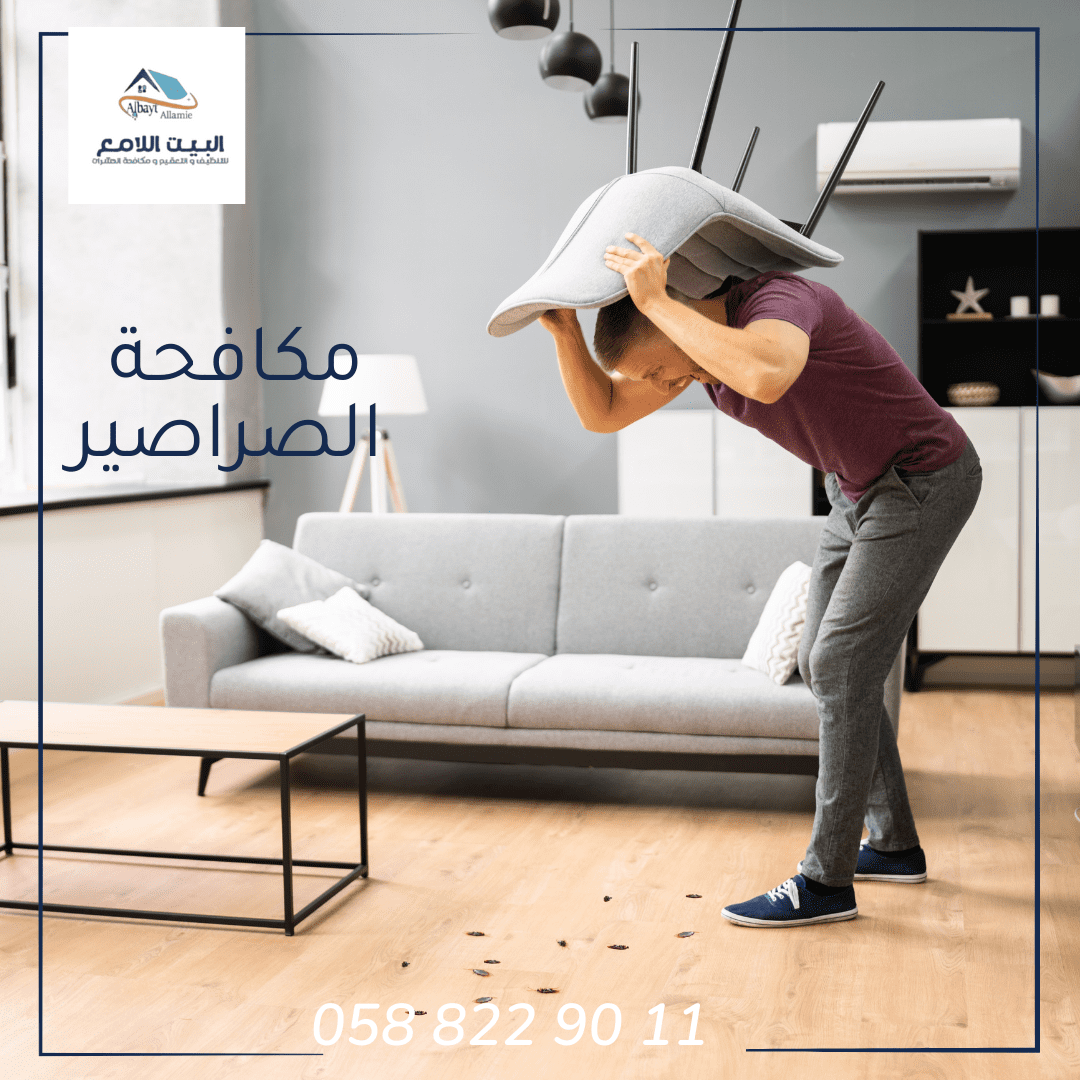 أفضل شركة لمكافحة الصراصير في العين