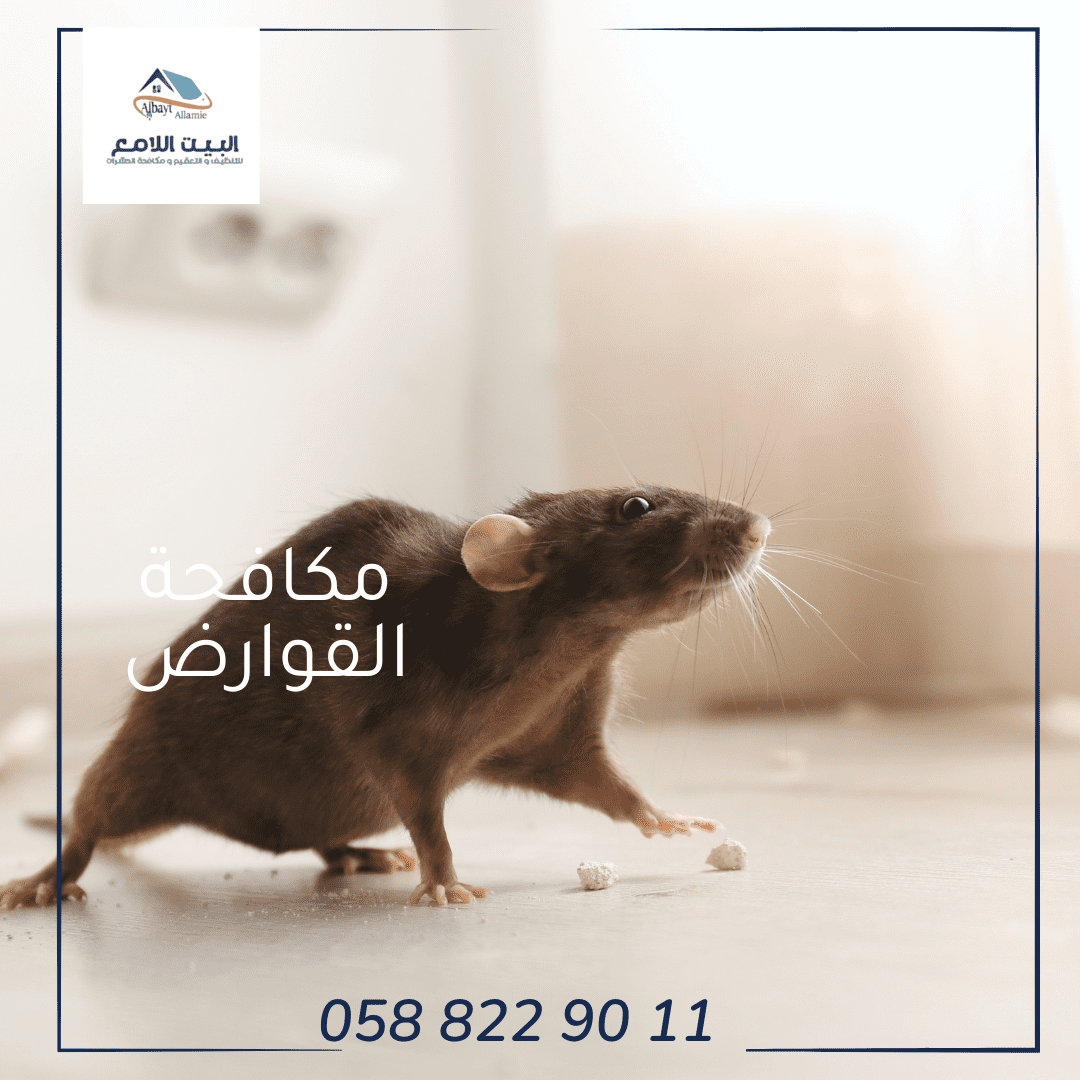 أفضل شركة لمكافحة القوارض في العين