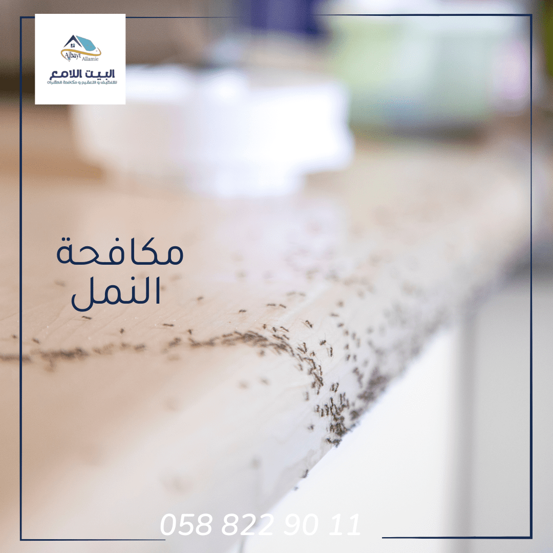 أهمية التخلص من النمل