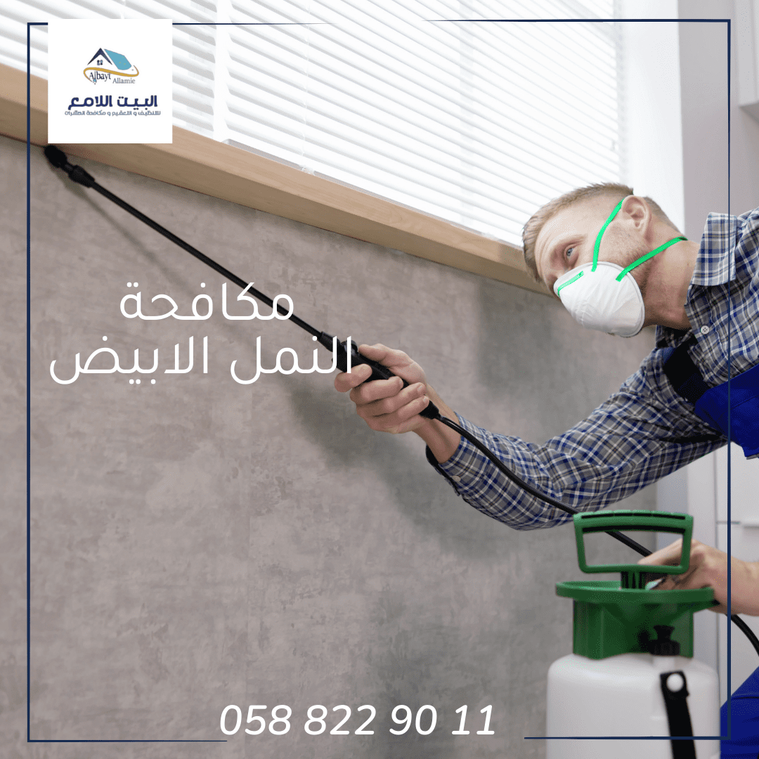 خدمات شركة مكافحة النمل الأبيض بأبوظبي