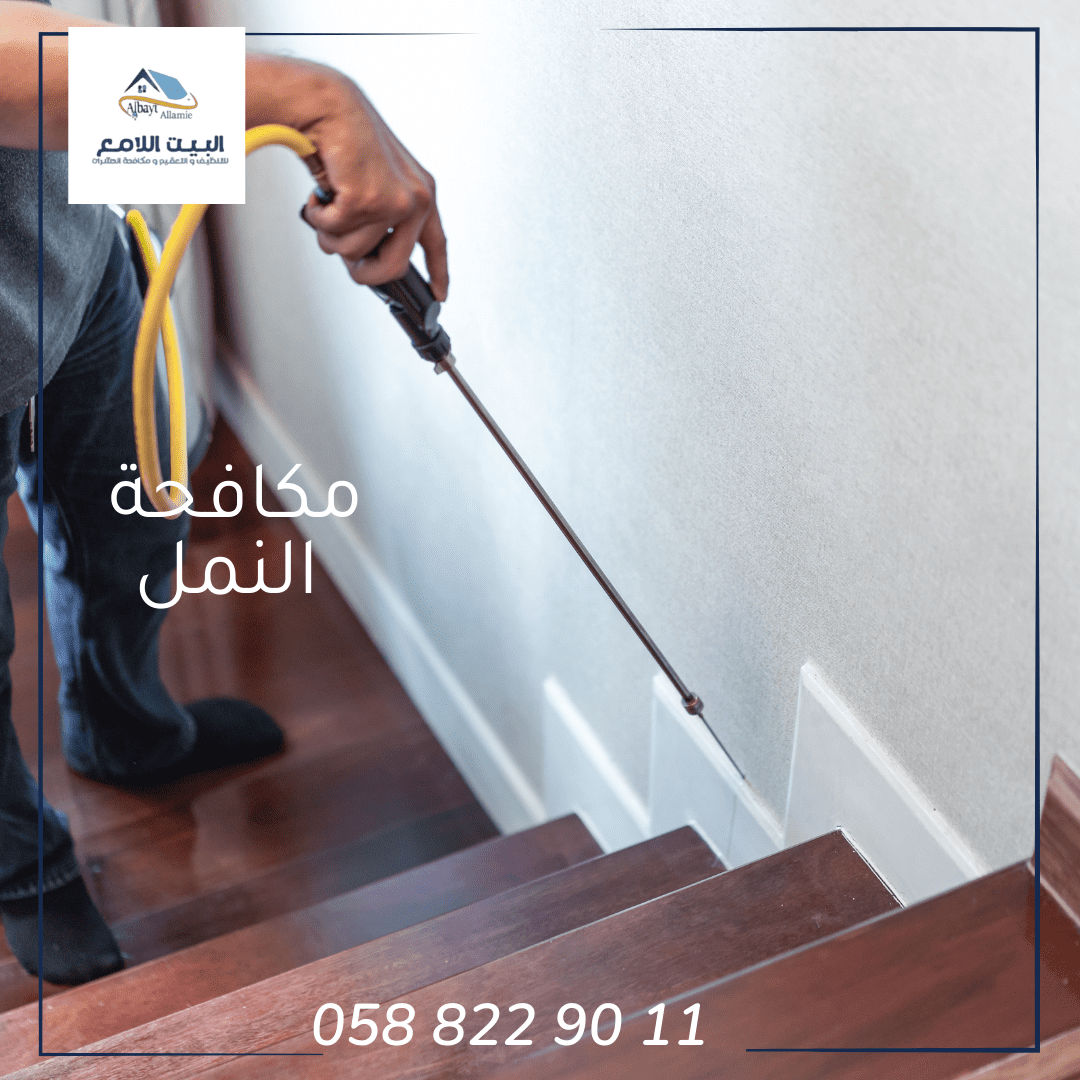 خدمات شركة مكافحة النمل بأبوظبي
