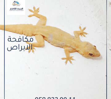 شركة مكافحة الأبراص