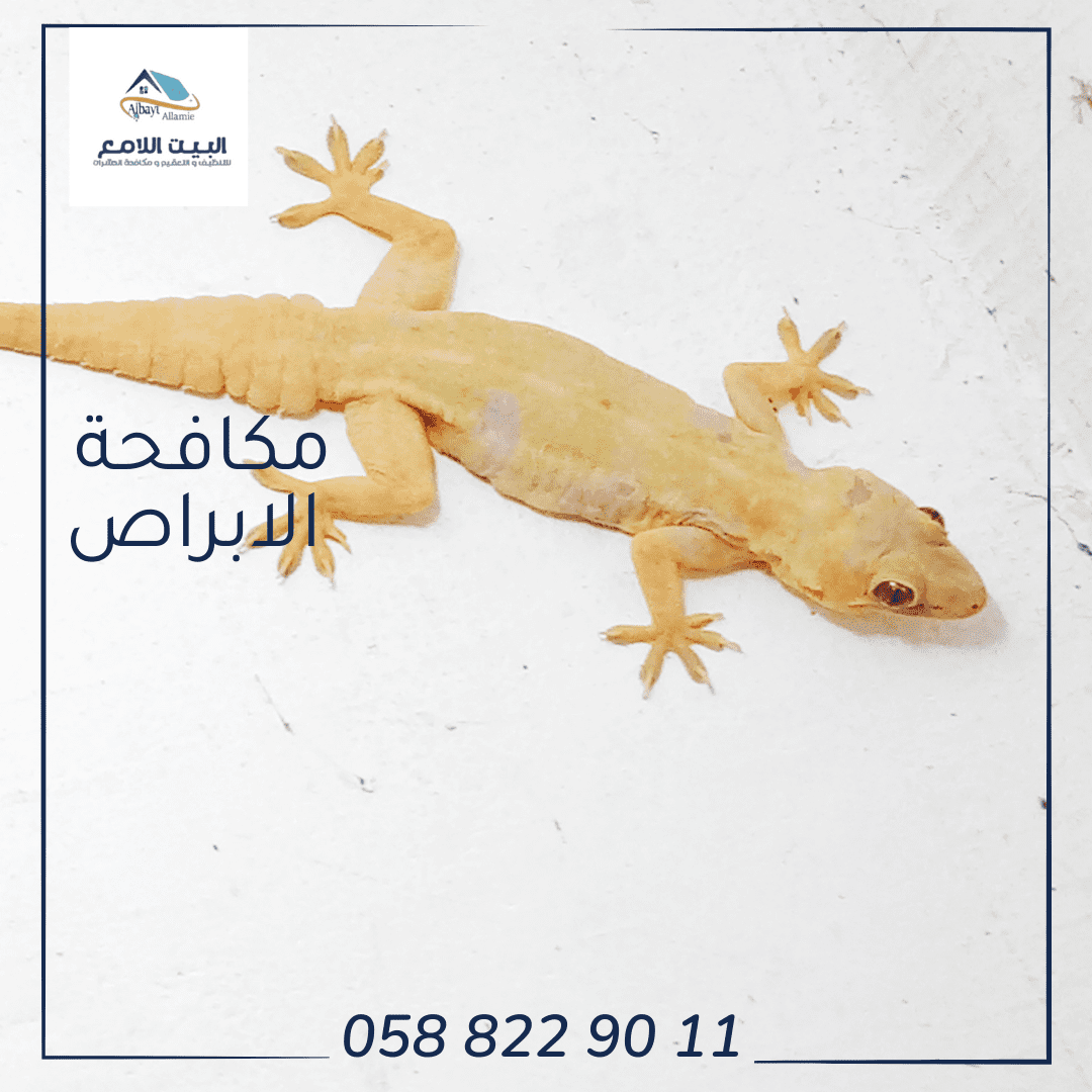 شركة مكافحة الأبراص