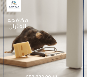 شركة مكافحة الفئران