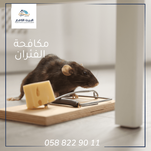 شركة مكافحة الفئران
