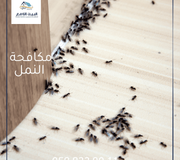 شركة مكافحة النمل