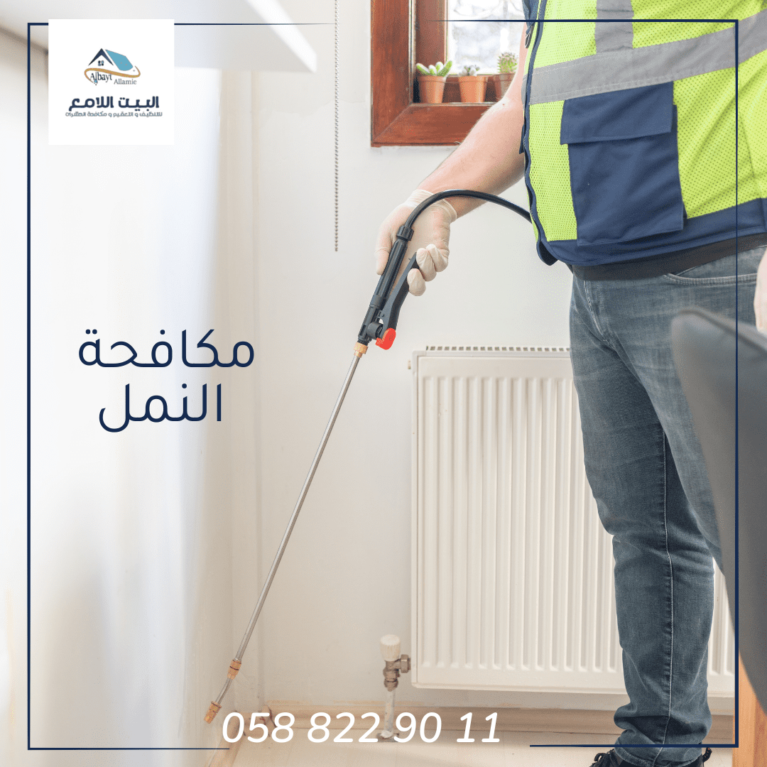 شركة مكافحة النمل في العين