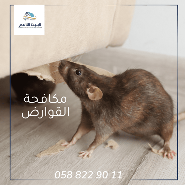 شركة مكافحة قوارض