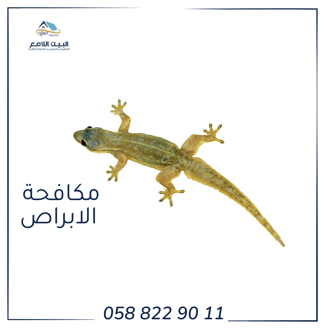 طريقة التخلص من الأبراص