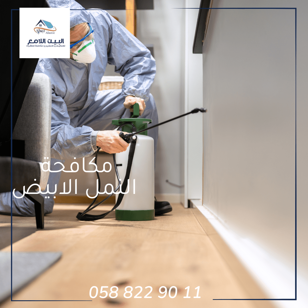 طريقة مكافحة النمل الأبيض بأبوظبي