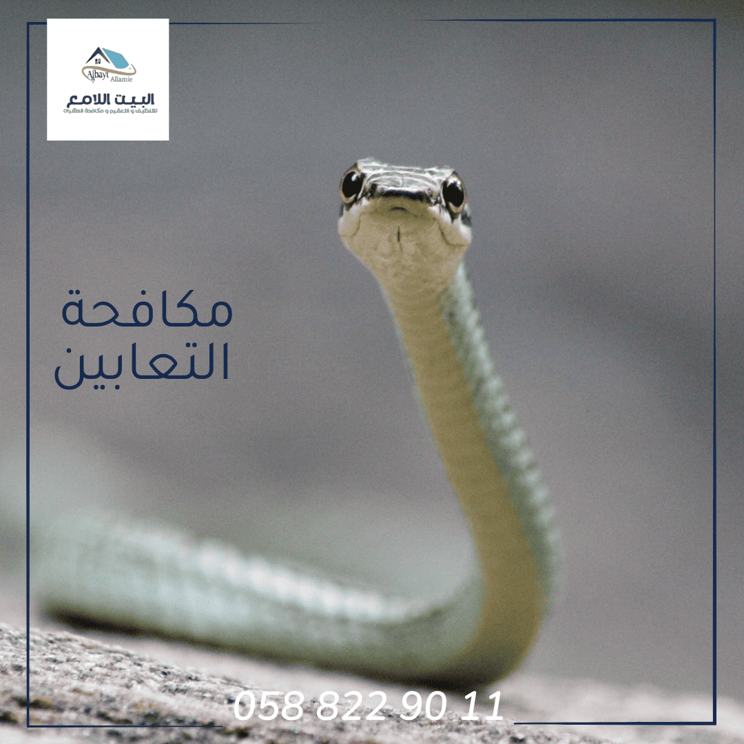 مكافحة الثعابين