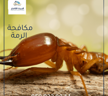 مكافحة الرمة