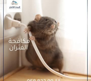 مكافحة الفئران
