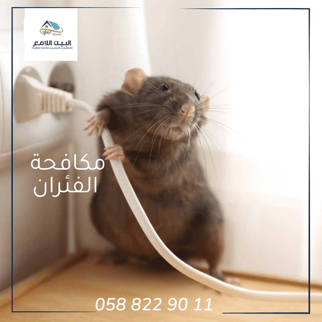 مكافحة الفئران