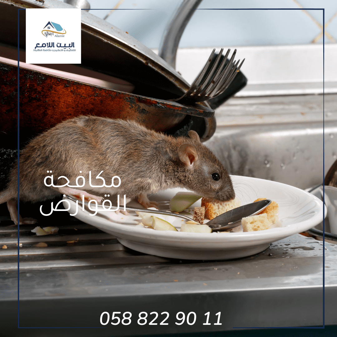 مكافحة القوارض