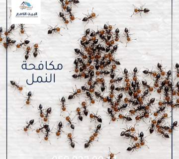 مكافحة النمل