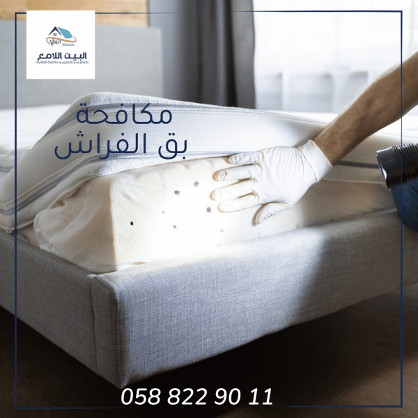 مكافحة بق الفراش
