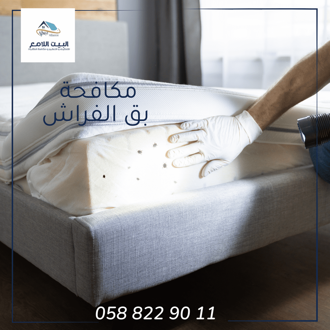 مكافحة بق الفراش