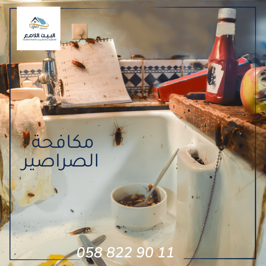 مميزات شركة مكافحة الصراصير بأبوظبي