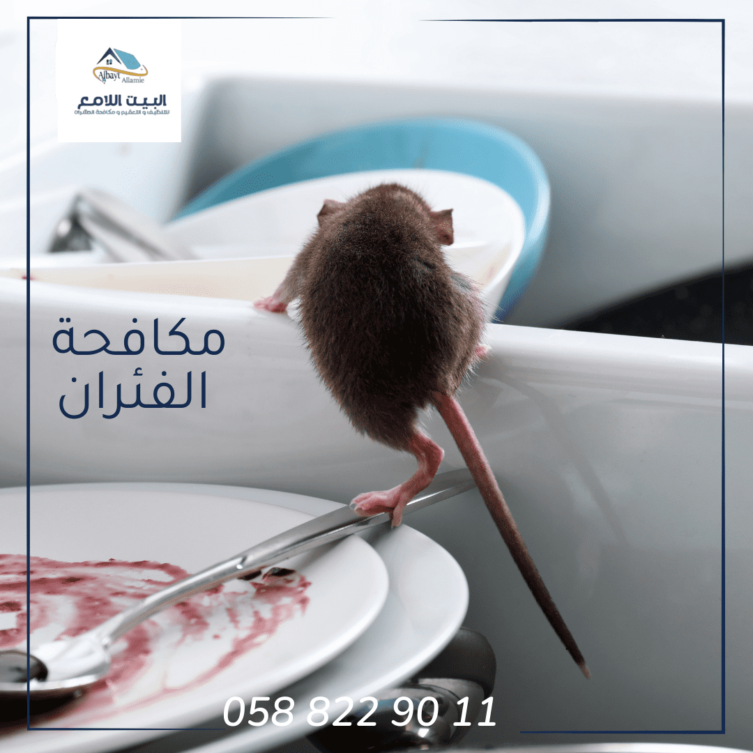 مميزات شركة مكافحة الفئران بالعين