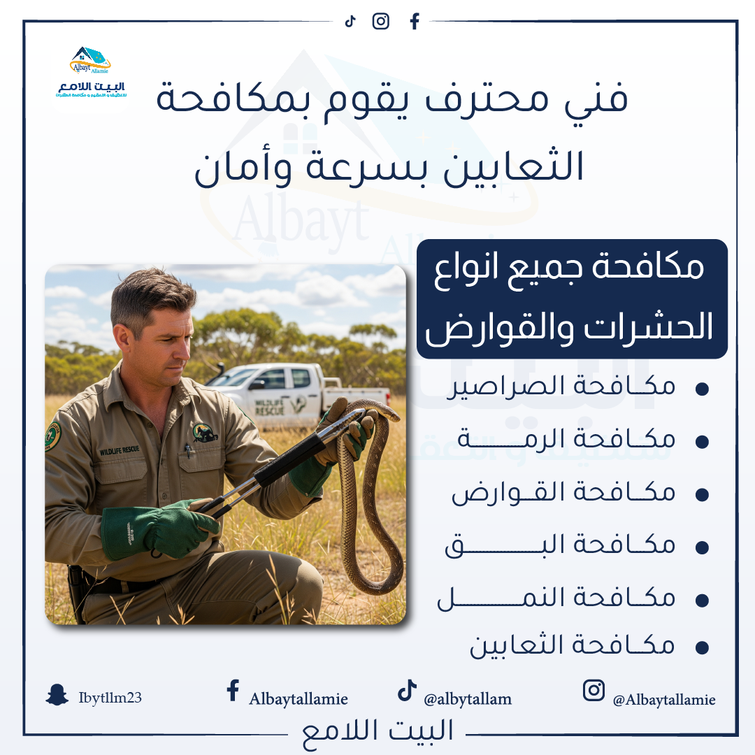 "شركة مكافحة ثعابين البيت اللامع"