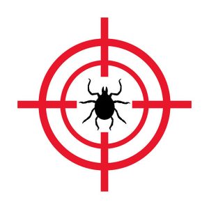 "شركة مكافحة بق الفراش"